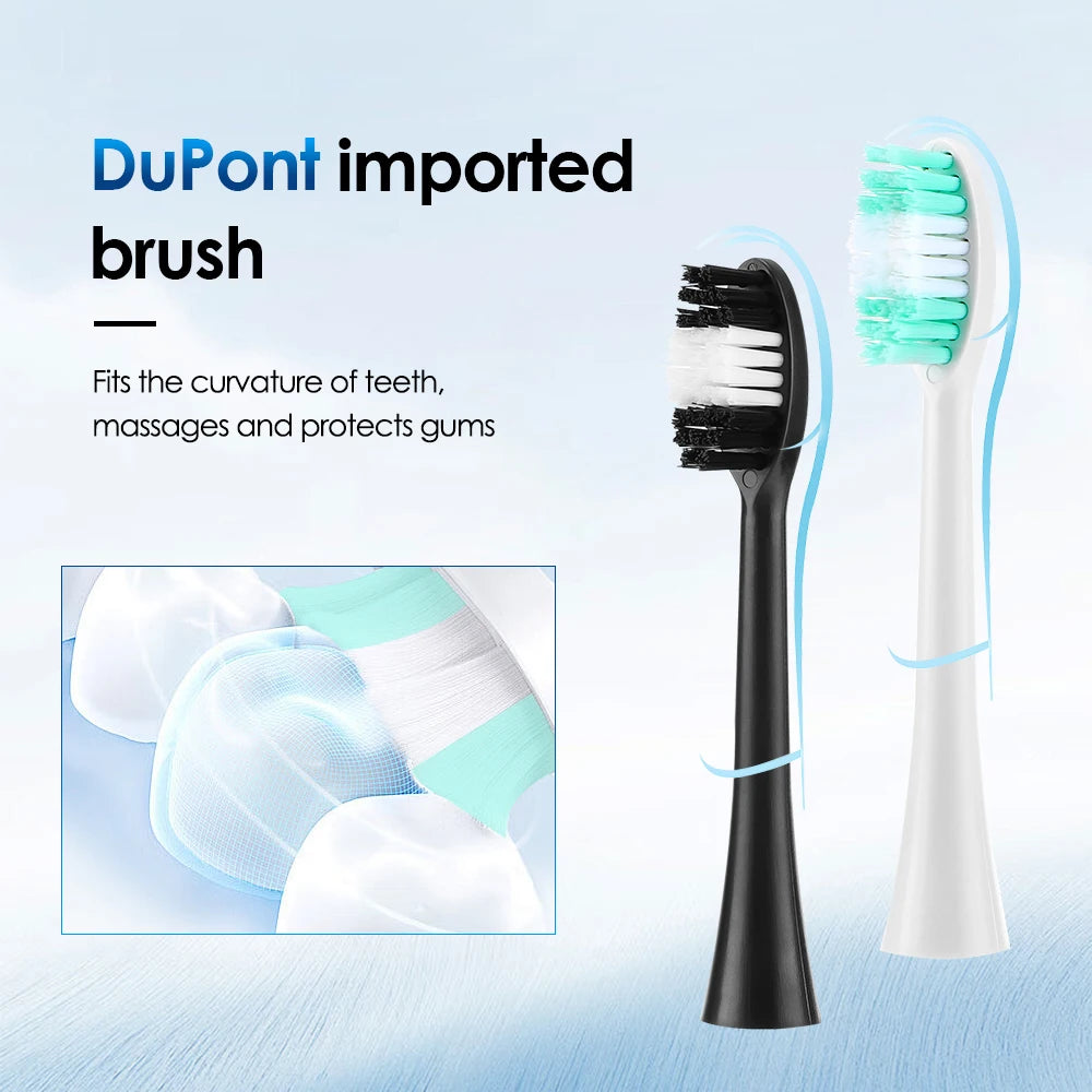 Electric Teeth Cleaner Remove Tartar Plaque Calculus and Tooth Stains Dental Teeth Whitening Kits With 6 Toothbrush Heads Home