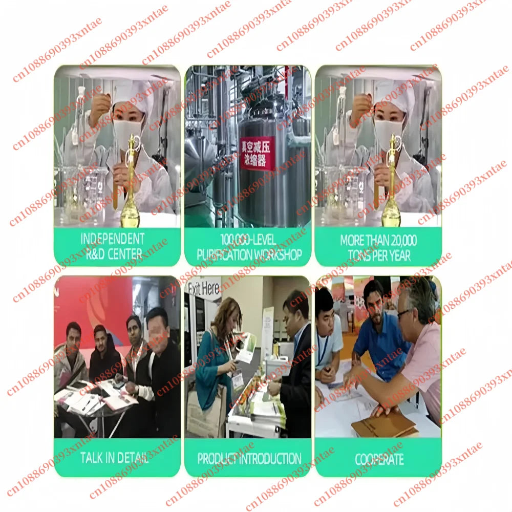 Factory Professional Sealing And Customized Packaging Cordyceps Militaris Extract For Body & Face Highlighter Powder