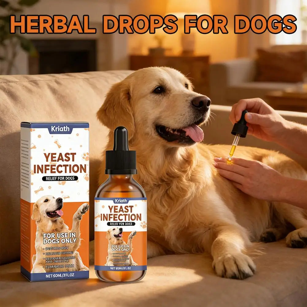 Dog Immune Support Herbal Drops Cranberry Echinacea Extract Pet Supplement For Skin Itch Relief Seasonal Health Daily Care