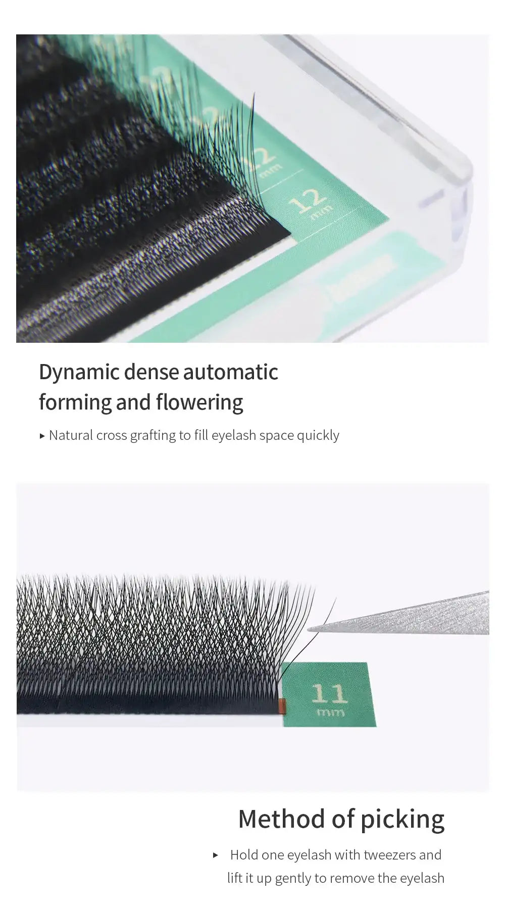 Black faux mink eyelash extensions in a tray, organized by length for professional grafting and volume application.