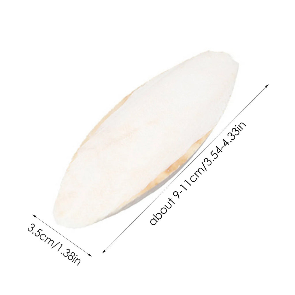 10pcs white cuttlebone for birds: natural calcium source and chewing toy for parrots, parakeets, and small pets.