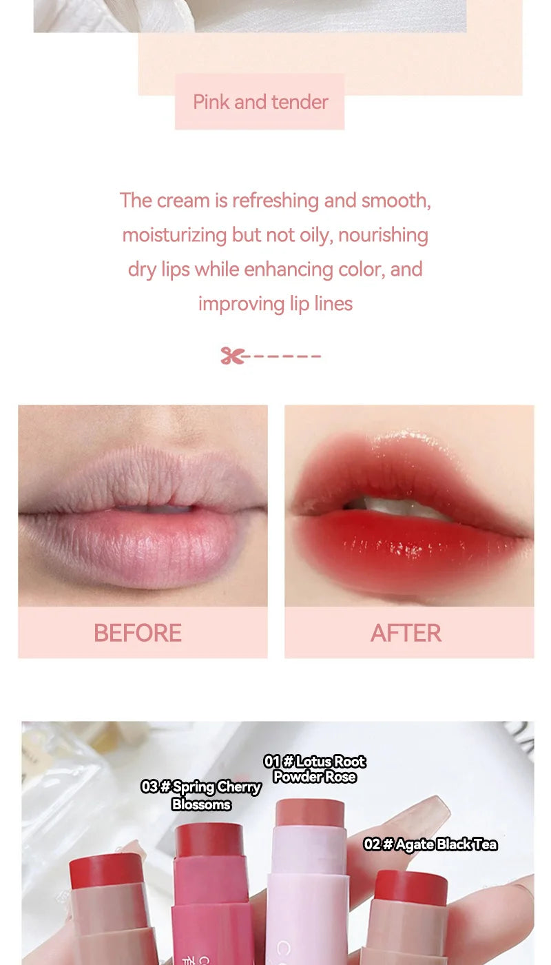 Tinted Moisturizing Lip Balm Set | Nourishing Hydrating Treatment Lip Care Tidesmit