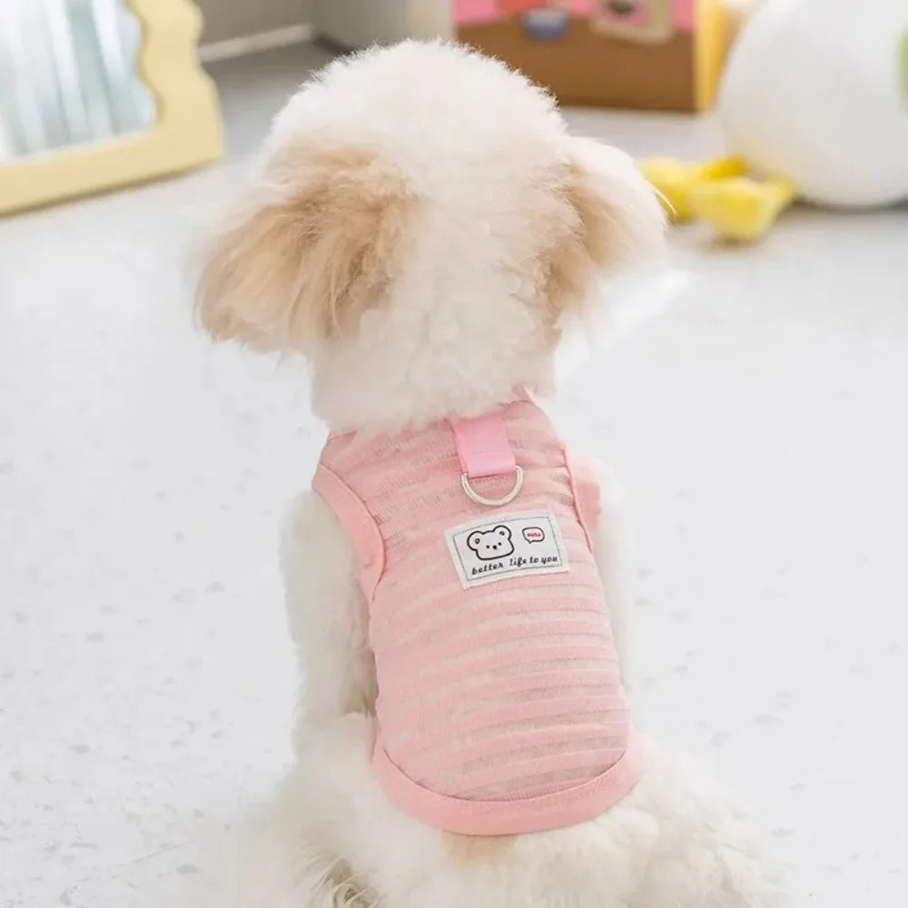 Small dog wearing a breathable pink striped cooling vest harness, perfect for summer comfort and casual puppy style.
