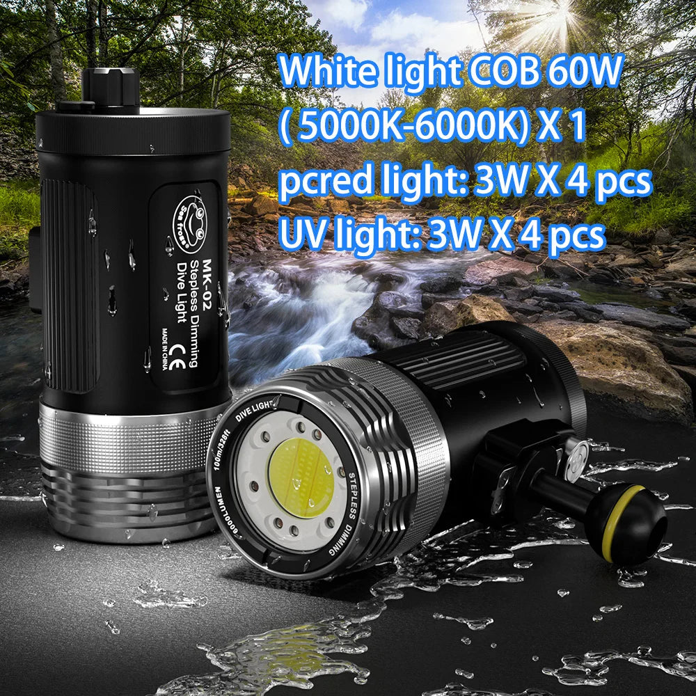 Cylindrical black underwater dive light with silver bezel, multi-LED array, and mounting arm for scuba photography.