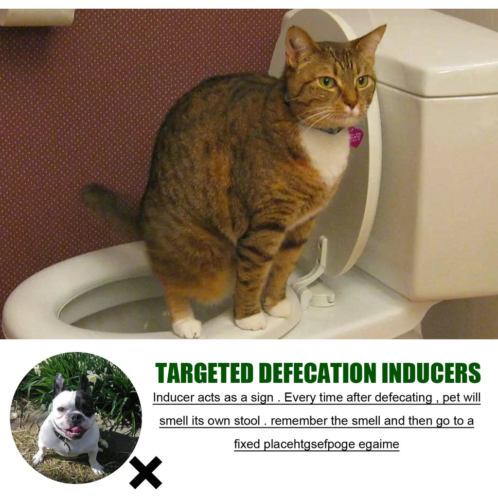 Cat using a toilet seat with pet potty training inducer spray for effective dog and cat housebreaking.