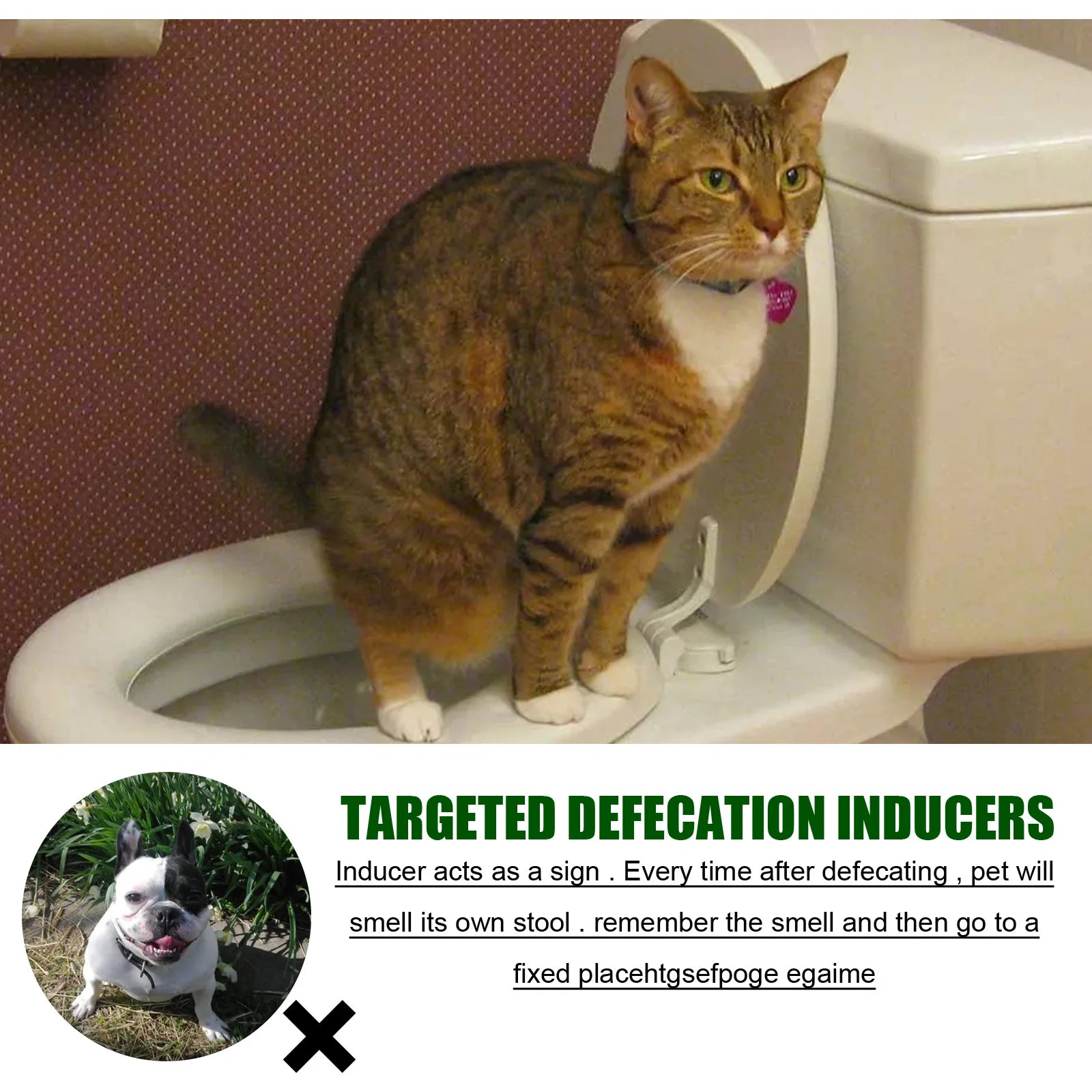 Cat using a toilet seat with pet potty training inducer spray for effective dog and cat housebreaking.