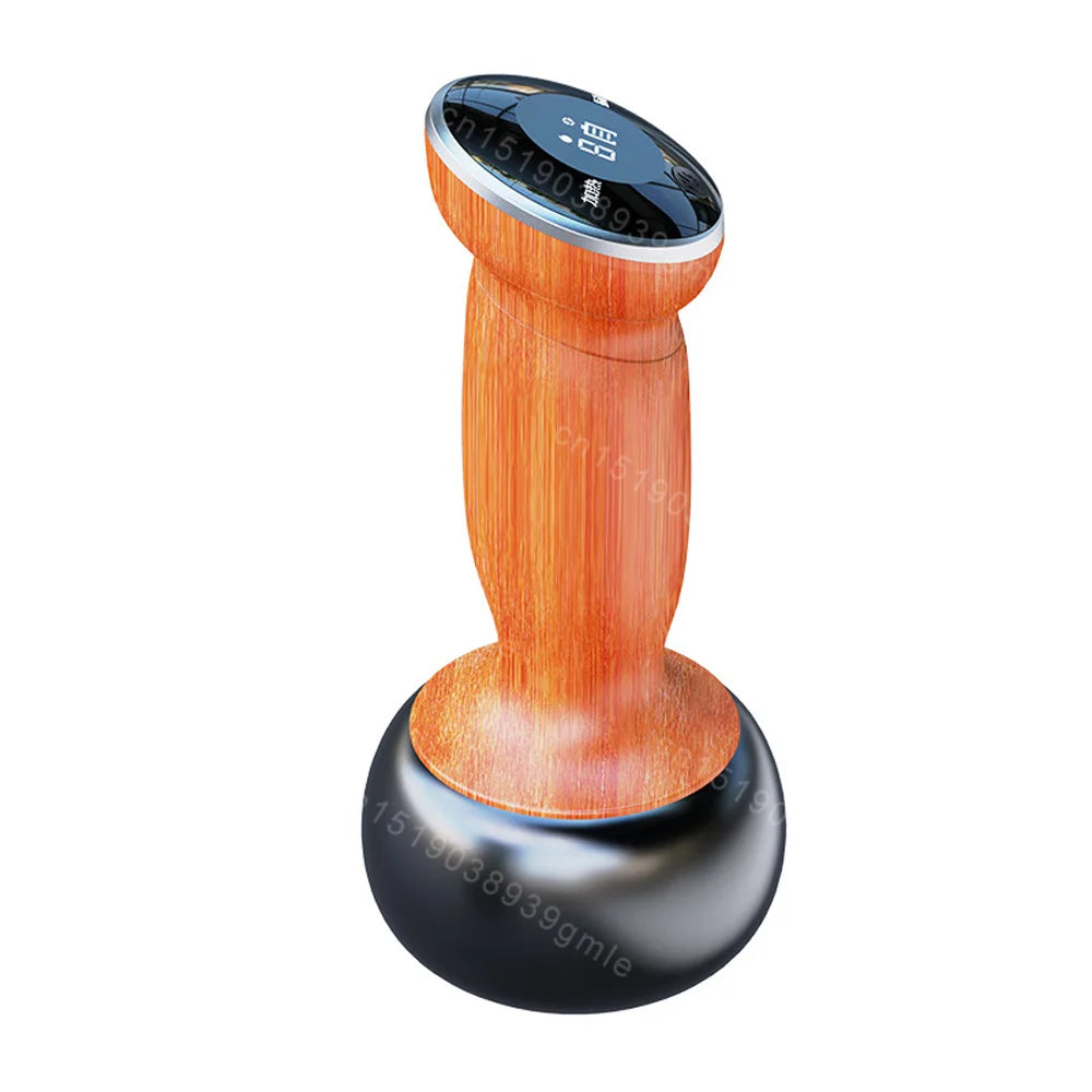 Electric Bian Stone Massager: Wireless Heat Therapy & Guasha Tool Back Massage Instrument Bianstone Massager Tidesmit
