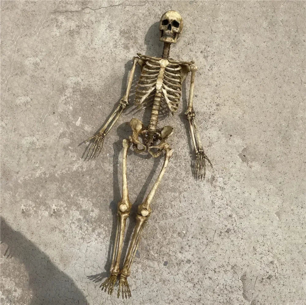 Miniature faux human skeleton model for reptile terrariums or aquarium decor. Detailed beige bones for pet habitat.