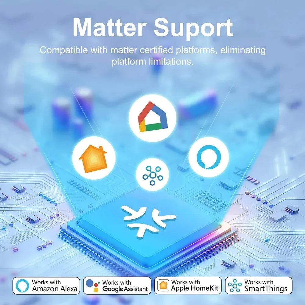 Matter WiFi Smart Socket EU16A Mini Smart Plug Adapter APP Control Works with HomeKit Alexa Google
