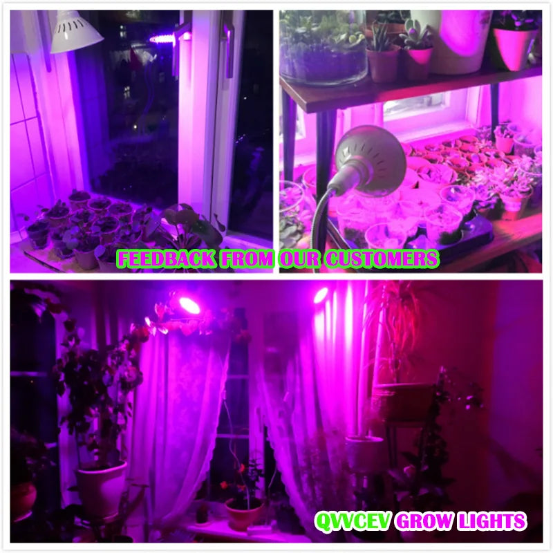Anti Aging Red blue led Light Therapy Deep Red 660nm Near Infrared 850nm Beauty plant grow light bulb lamp for Full Body Skin