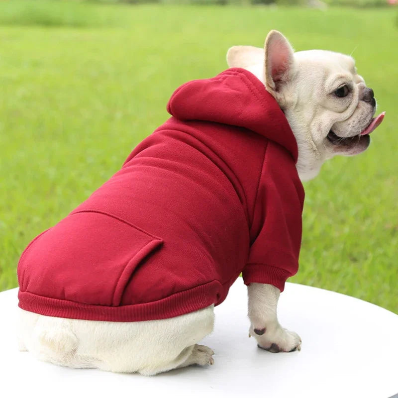 French bulldog wearing a warm, red hooded sweater for small dogs, perfect for cozy autumn and winter outdoor wear.