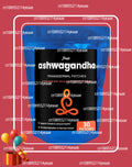 Ashwagandha Transdermal Patches Natural Energy, Performance & Mood Support 30 Patches