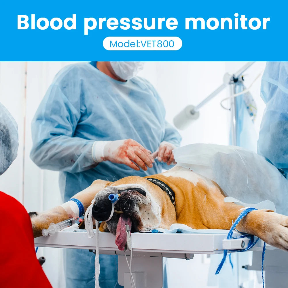 VET800 Veterinary Blood Pressure Monitor NIBP Pet Tensiometer 4.3" Touch Screen 5 Cuffs Bluetooth Portable Vet Sphygmomanometer