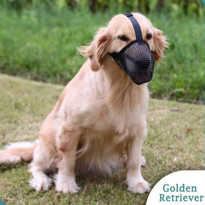 Golden Retriever wearing an adjustable, breathable black mesh dog muzzle for anti-bite and lick control.