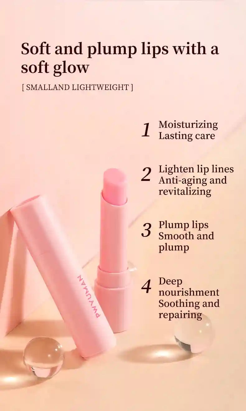 Lip Treatment for Dark Pigmentation - Moisturizing Exfoliator (1-5 Pcs) Lip Care Tidesmit