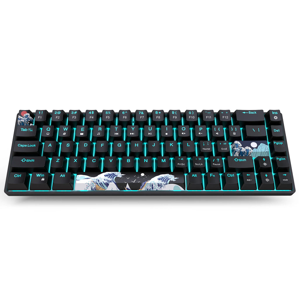 60% Gaming Mechanical Keyboard Ultra Compact Mini 68 Key with Blue Switches Wired Keyboard Anti-Ghosting Keys