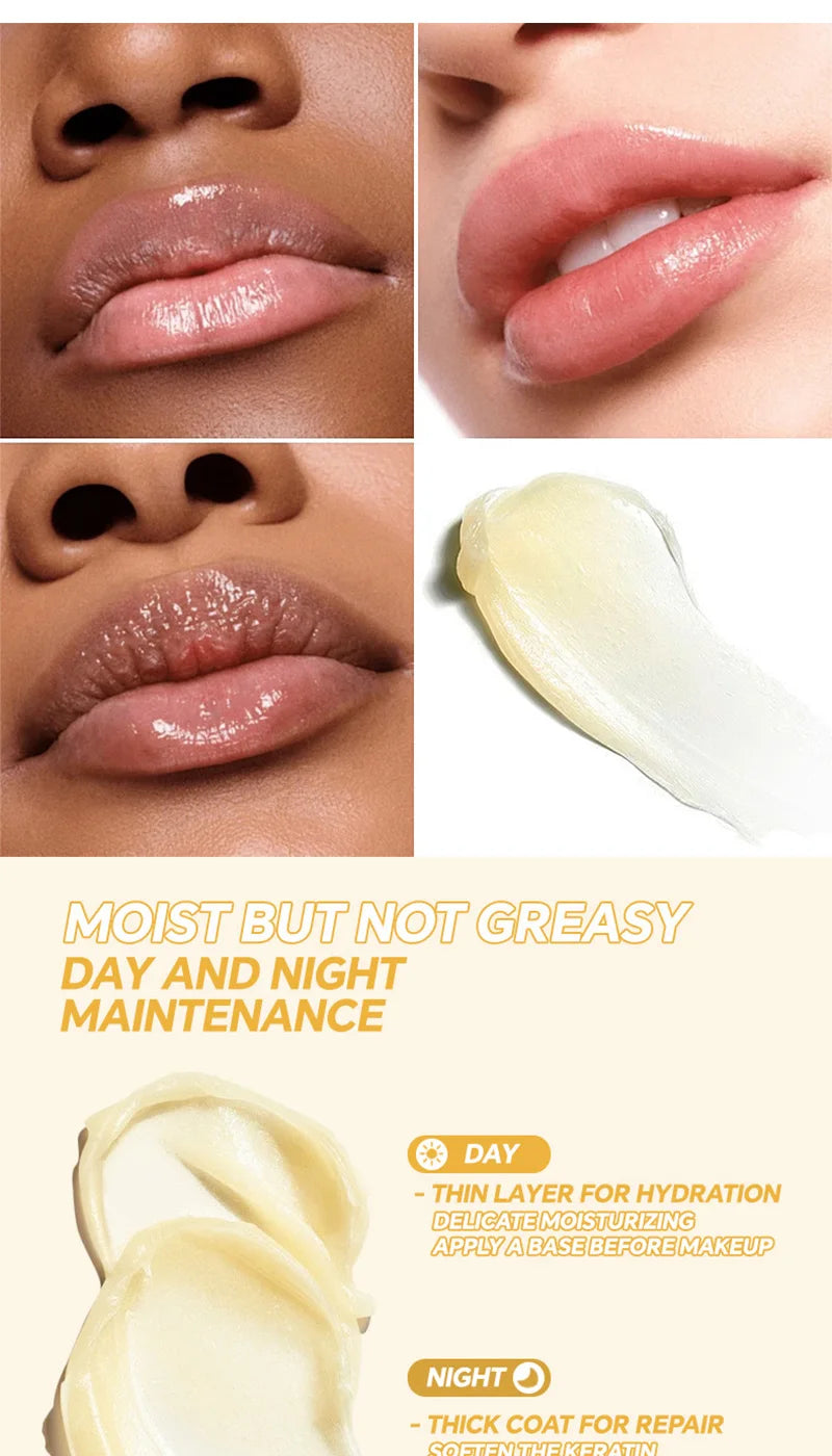 Natural Lip Balm Set - Deep Hydrating Plant-Based Lip Care Lip Care Tidesmit