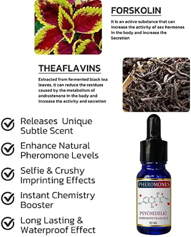 Strong Pheromone for Men fragrance oil in a 10ml blue glass dropper bottle, featuring Forskolin and Theaflavins notes.