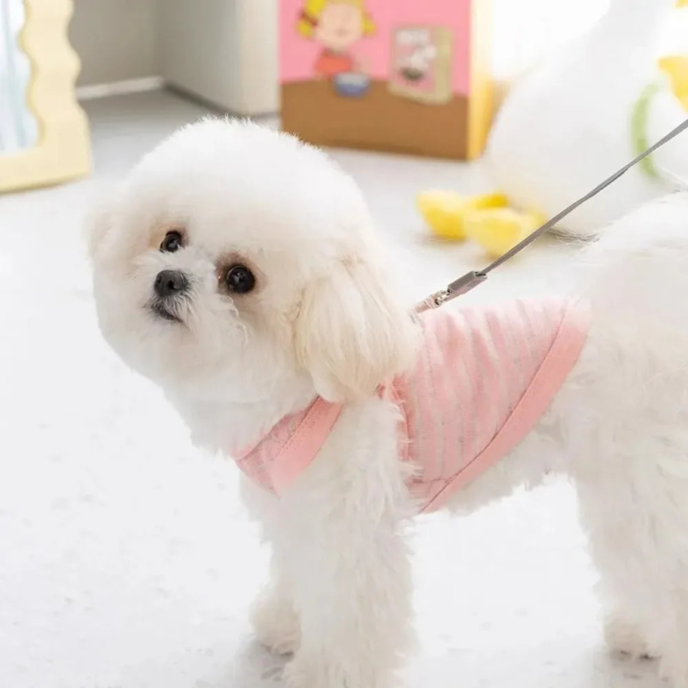 Small dog wearing a breathable pink striped cooling vest for summer, perfect for comfortable daily walks.