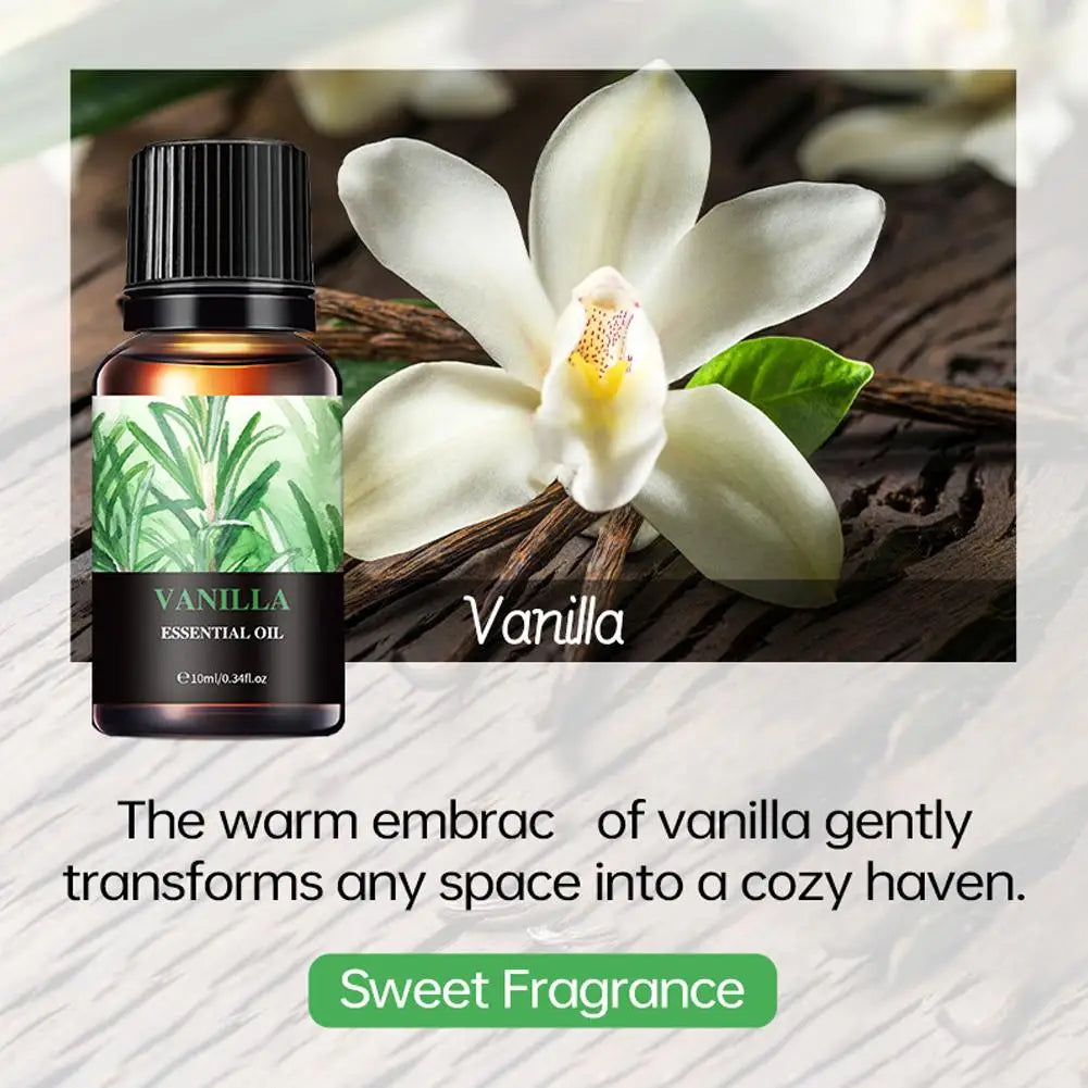 Aromatherapy Essential Oil 10ml Lemon Eucalyptus Lavender Eucalyptus Jasmine Rose Mint Orange Aroma Essential Oil