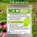 30g EM Bacteria Powder DIY Effective Microorganisms Organic Fertilizer Dispose Of Food Waste & Crops