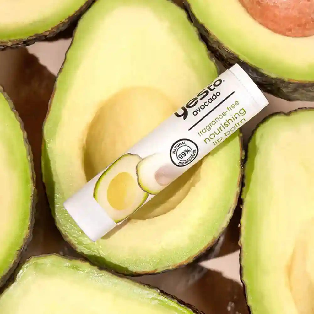 Nourishing Lip Balm with Avocado Oil - 6 Pack | Tidesmit Lip Care Lip Care Tidesmit