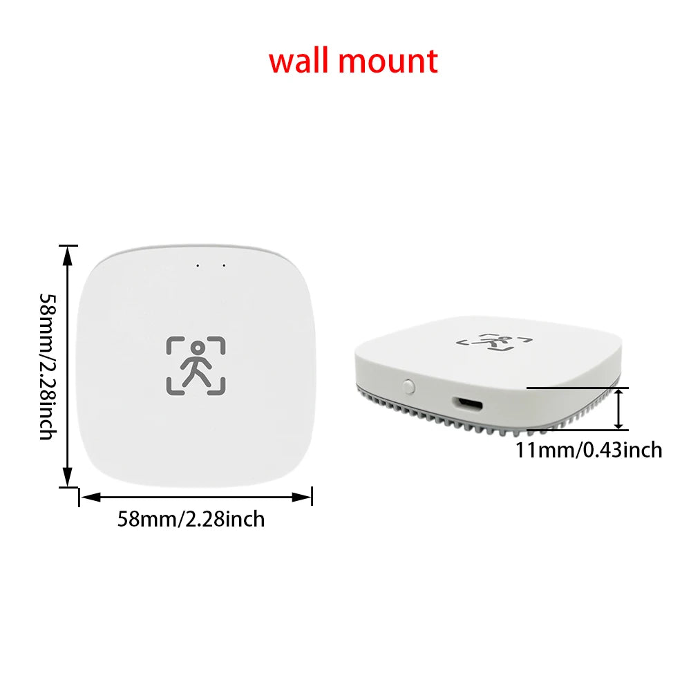 MmWave Human Presence Sensor with Luminance Detection for Smart Homes Tidesmit