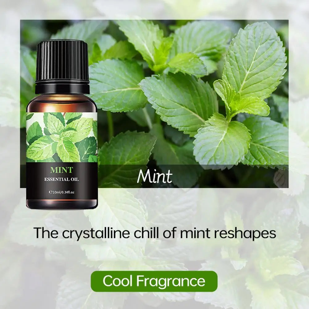 Aromatherapy Essential Oil 10ml Lemon Eucalyptus Lavender Eucalyptus Jasmine Rose Mint Orange Aroma Essential Oil