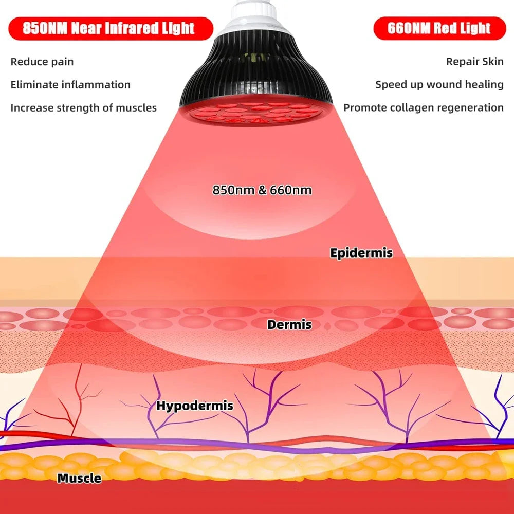 660nm & 850nm red light therapy lamp bulb illustrating skin layer penetration for pain relief and skin health.