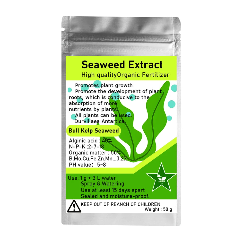 50g Bull Kelp Seaweed Extract Green New Organic Fertilizer Rich In Organic Matter Durvillaea Antartica Material