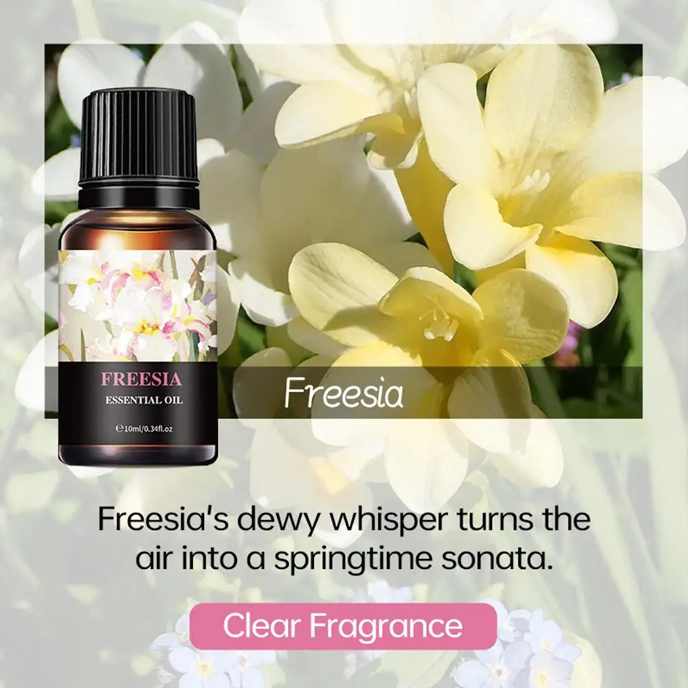 Aromatherapy Essential Oil 10ml Lemon Eucalyptus Lavender Eucalyptus Jasmine Rose Mint Orange Aroma Essential Oil