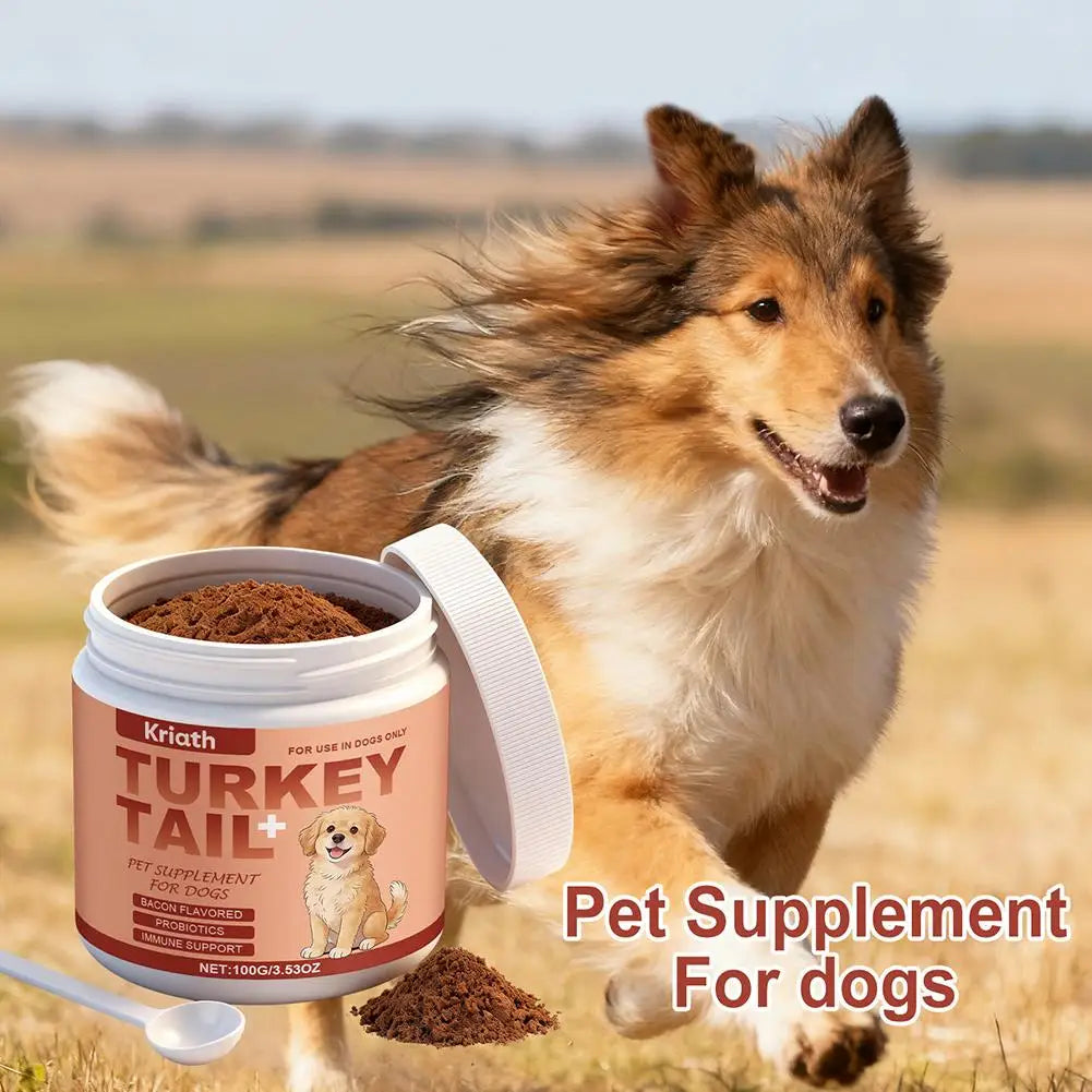 Dog Immune Support Supplement Turkey Tail Mushroom Powder With Probiotics Bacon Flavor For Gut Health And Defense System 3.53oz