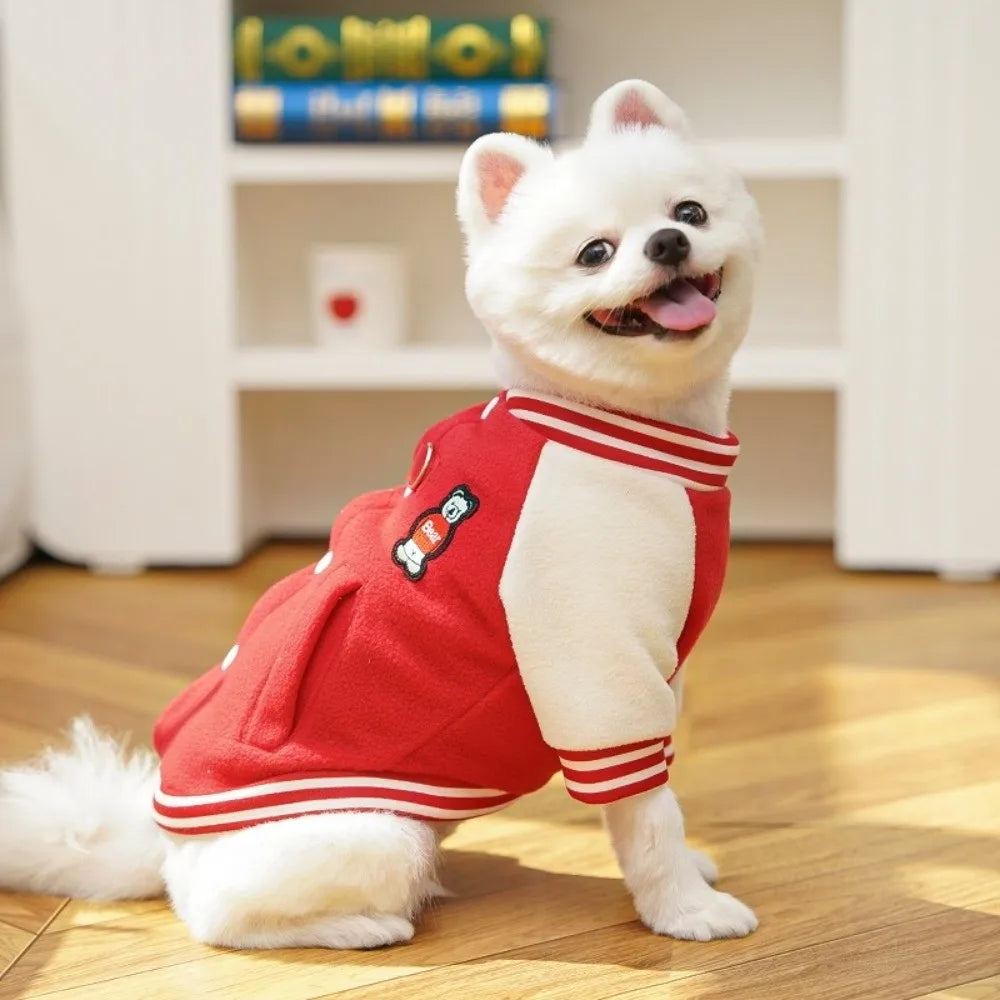 White puppy wearing a cozy red and white winter baseball jacket for warm outdoor style.