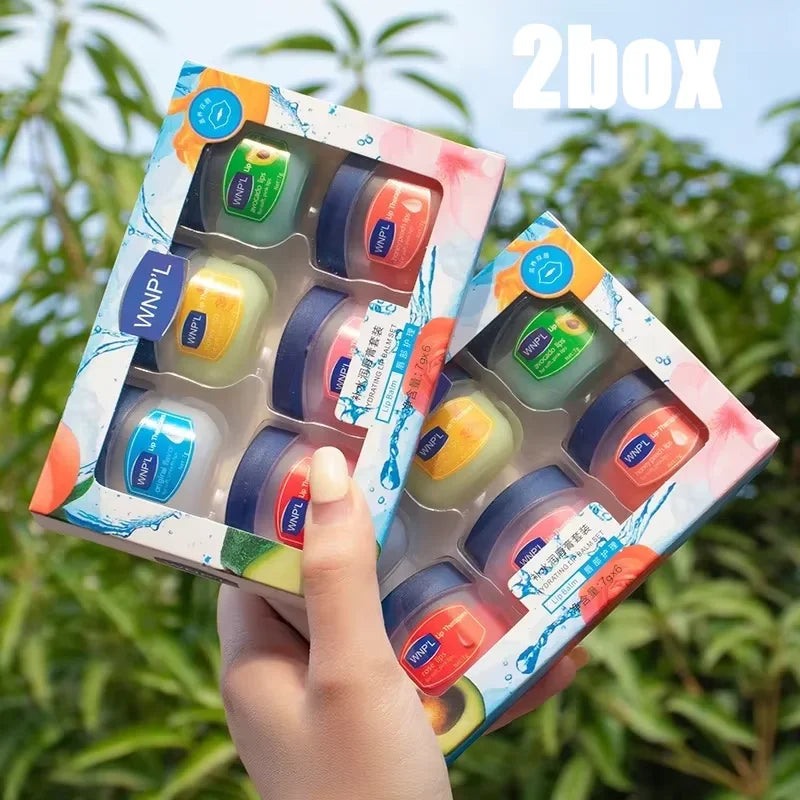 Moisturizing Lip Balm Set for Dry Chapped Lips - Natural Care Lip Care B-2box-6pcs Tidesmit