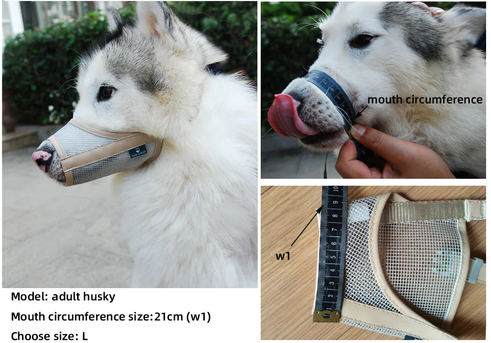 Adjustable beige nylon mesh and leatherette dog muzzle on a husky for safe, breathable pet training and grooming.