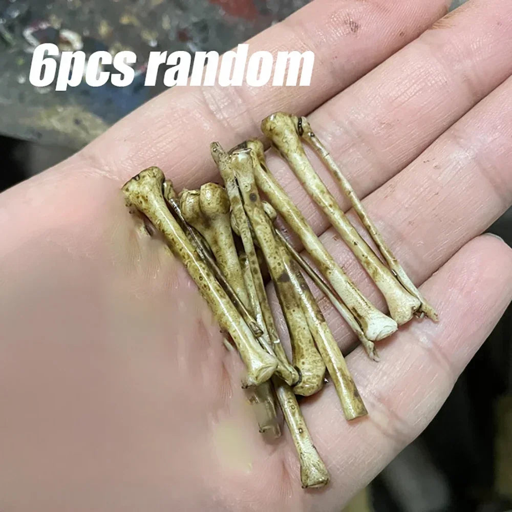 6pcs miniature faux lizard skeleton bones for aquarium decor, realistic beige resin animal bones for reptile tank setups.