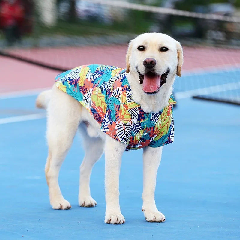 Labrador wearing a breathable Hawaiian print summer dog t-shirt for comfortable, stylish outdoor pet fashion.
