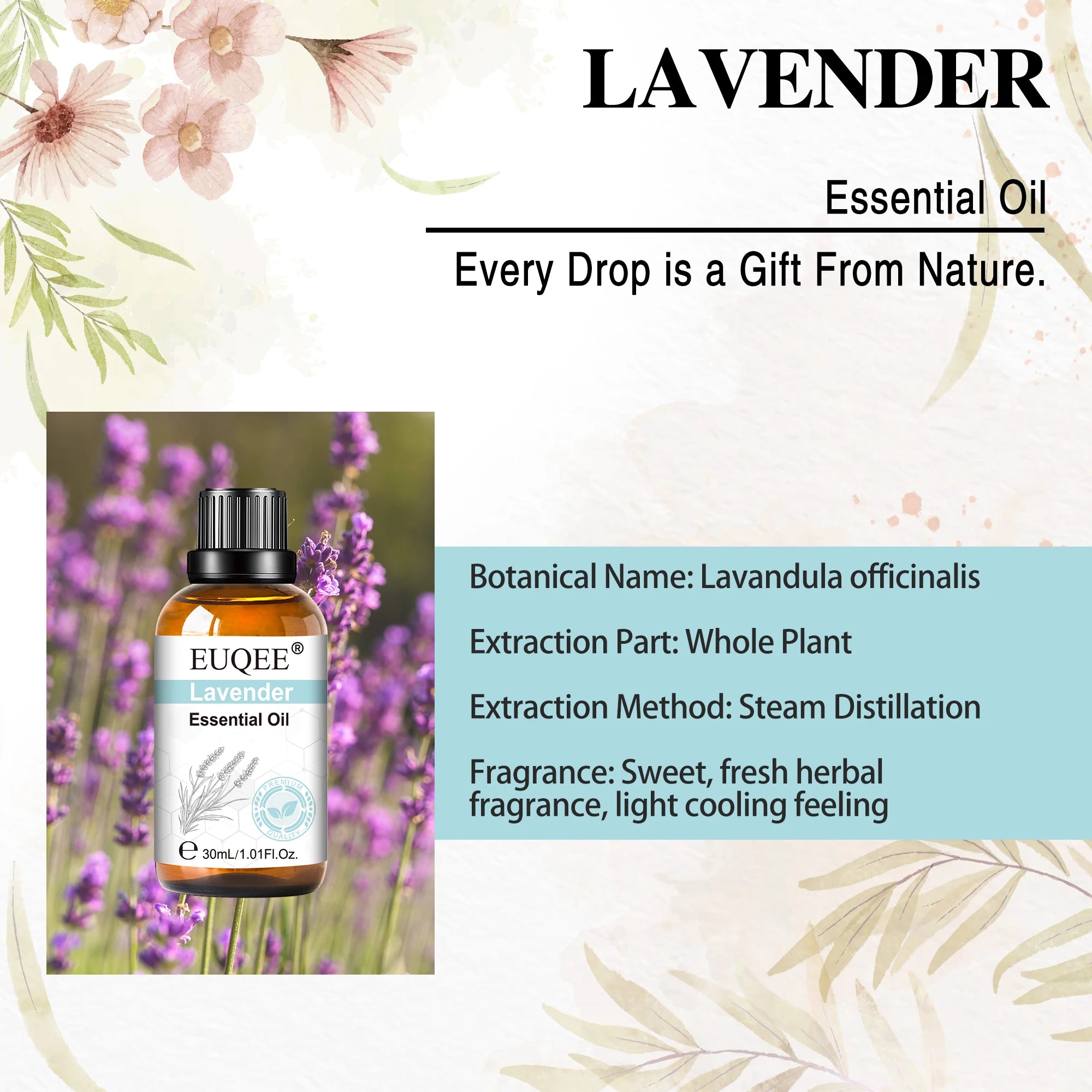 EUQEE 30ml Pure Essential Oils For Humidifier,Diffuser,Candle Making-Vanilla Lavender Cinnamon Rose Aromatherapy Essential Oils