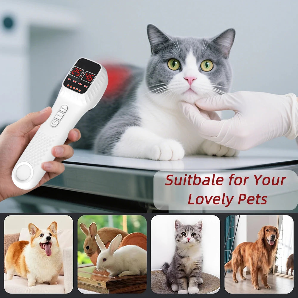 White handheld infrared light therapy device with a digital display, being used on a cat by a person in a glove.