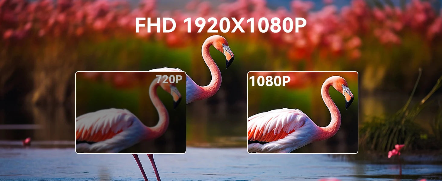 23.8” 120Hz Touchscreen Computer IPS 100%sRGB Display With Stand Portable Monitor For LaptopXBox Switch PS5 Gaming Extend Screen