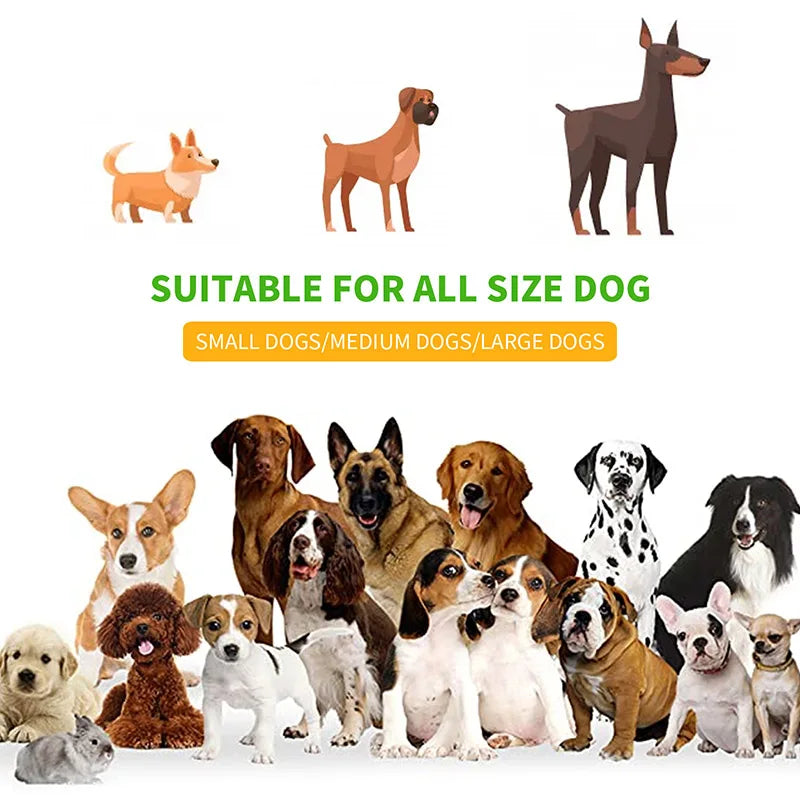 Hands Free High Qulity Retractable Hands Free Dog Leash For Running Dual Handle Bungee Leash Reflective For Large Pet Supplies
