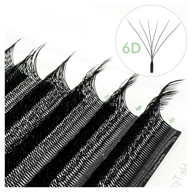 Black W-shaped premade volume lash extension strips on a tray, with a circular inset showing a 6D fan structure.
