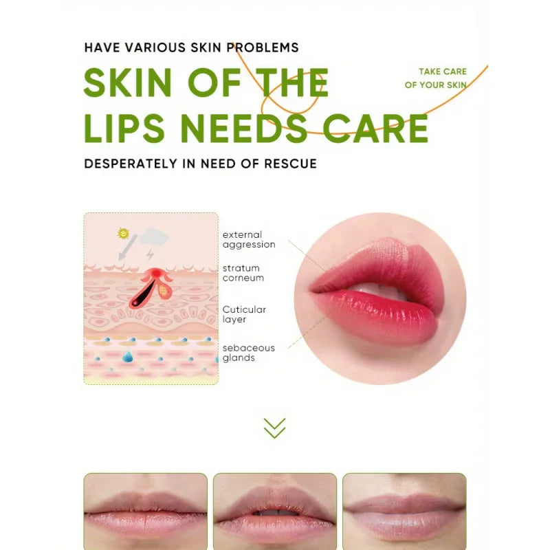 Aloe Lip Balm for Dry Lips: Natural Moisturizing Lip Treatment | Tidesmit Lip Care Tidesmit