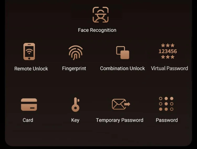 Wishome APP 3D Face Recognition Smart Lock with Camera, Video Call, and Voice Intercom Functions