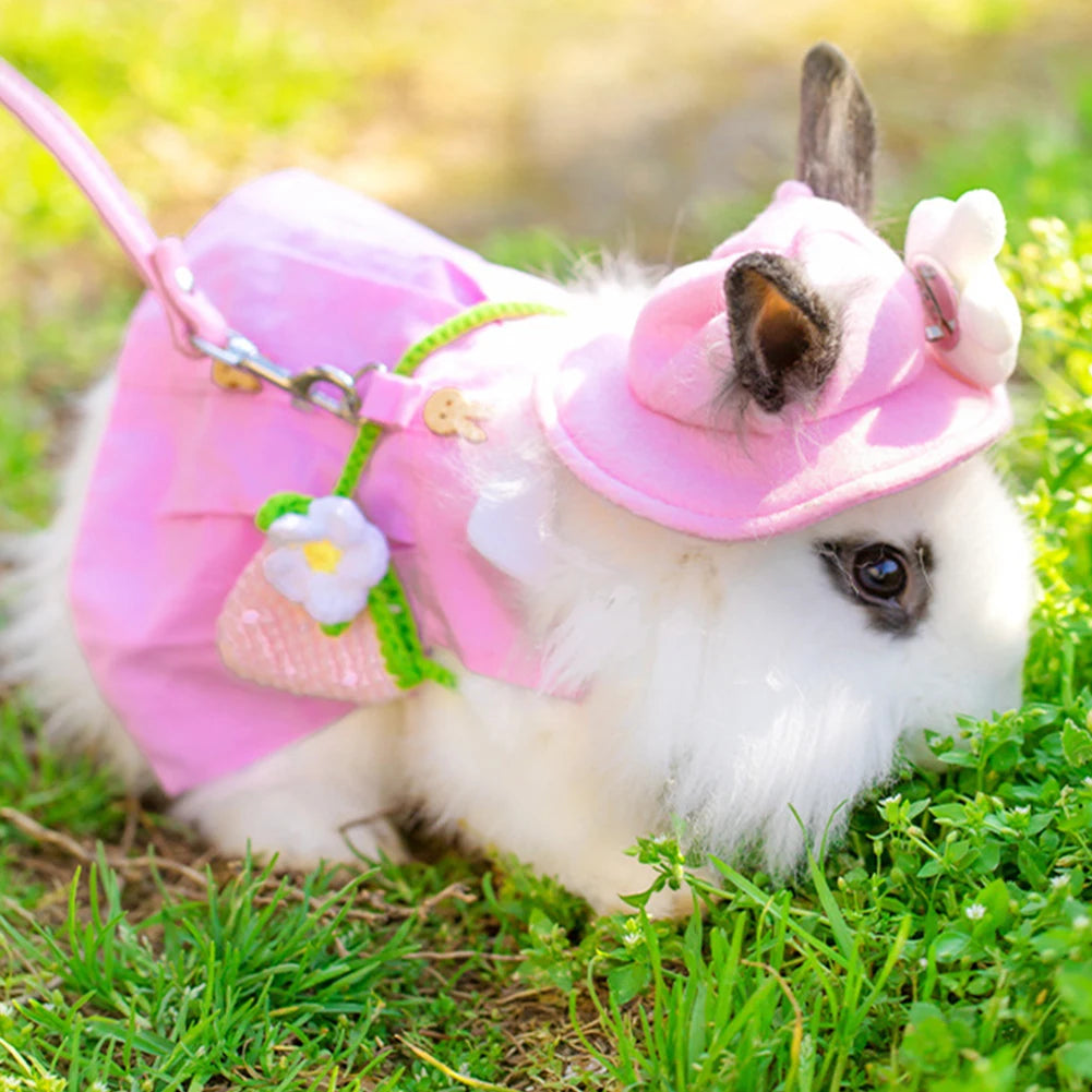 Cute white bunny wearing a pink harness vest, matching hat, and leash for stylish, safe outdoor walks.