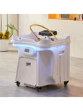 Portable Massage Spa Bed with Shampoo Sink - 220V Professional Wellness Massage Chairs 220V-1 Tidesmit