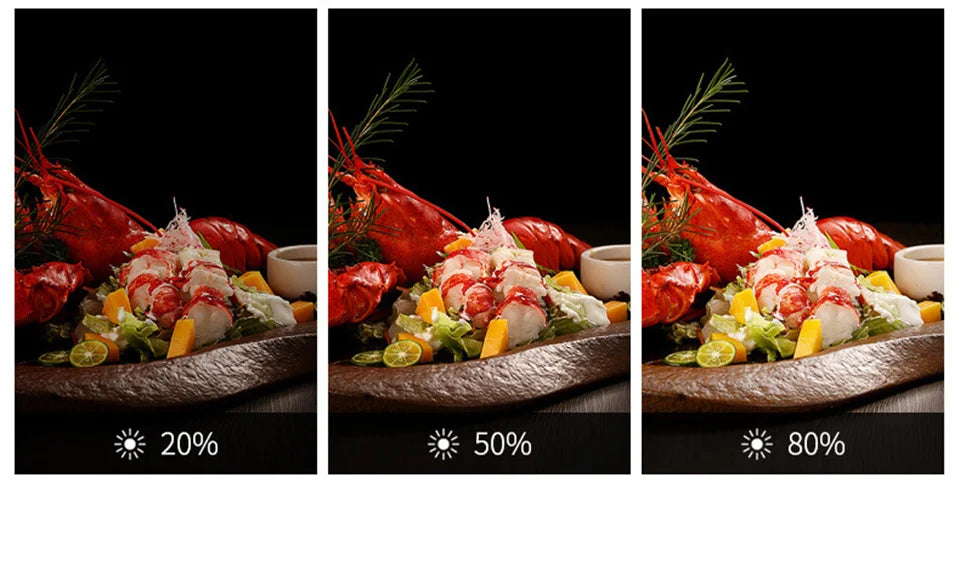 Lobster salad on a stone plate, demonstrating light intensity settings at 20%, 50%, and 80% brightness.