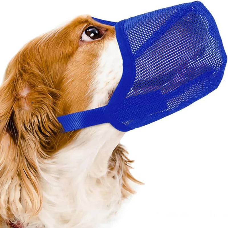 Blue breathable mesh dog muzzle for anti-bite training, lick control, and safe water drinking. Adjustable pet mask.