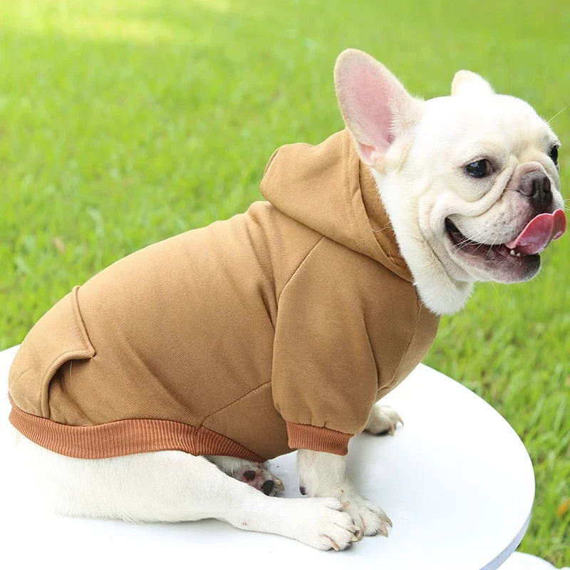 French bulldog wearing a warm, brown hooded sweatshirt for small dogs. Cozy, thick autumn dog clothing for outdoor style.
