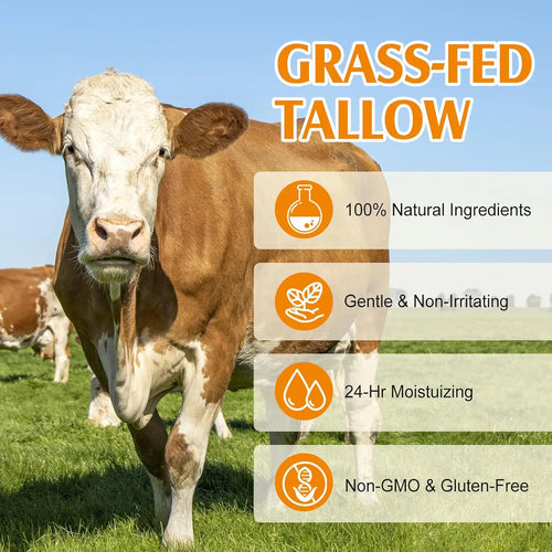 Grass-fed tallow face and body moisturizer infographic featuring a cow and benefit icons